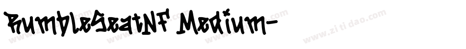 RumbleSeatNF Medium字体转换
